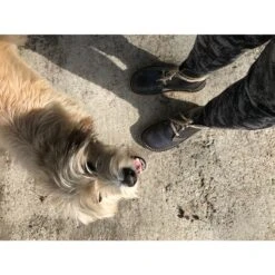 Faborg - Casual Boots 5 Faborg - Casual Boots -La Sporti Shoes Shop duckfeet faborg bottes a lacets ed0b09d290bdf0b2be3a9ac142cf5980 1